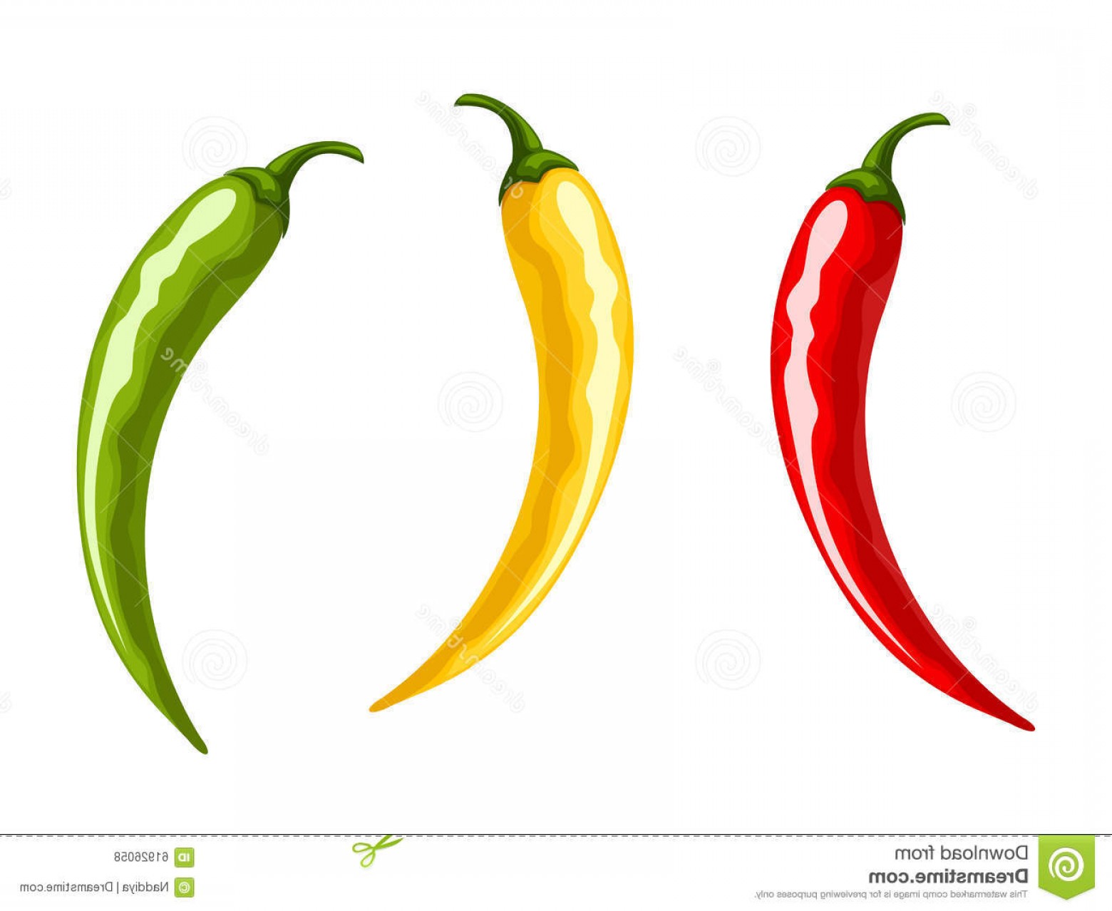 Stock Illustration Red Yellow Green Hot Chili Pepper Vector 1560x1278 Stock Illustration Red Yellow Green Hot Chili Pepper Vector