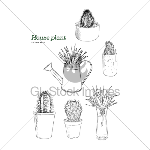 500x500 Set Of House Plant In Pot, Hand Draw Sketch Vector Gl Stock Images