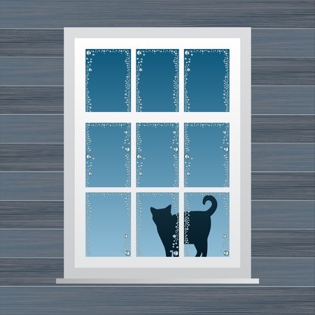 House Window Vector