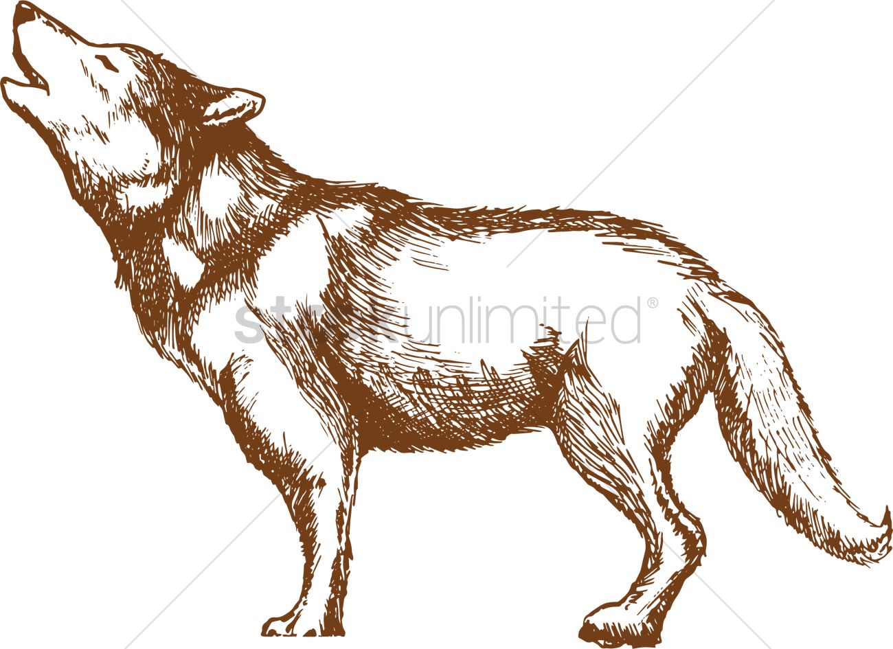 Howling Wolf Vector Image 1300x945 Howling Wolf Vector Image