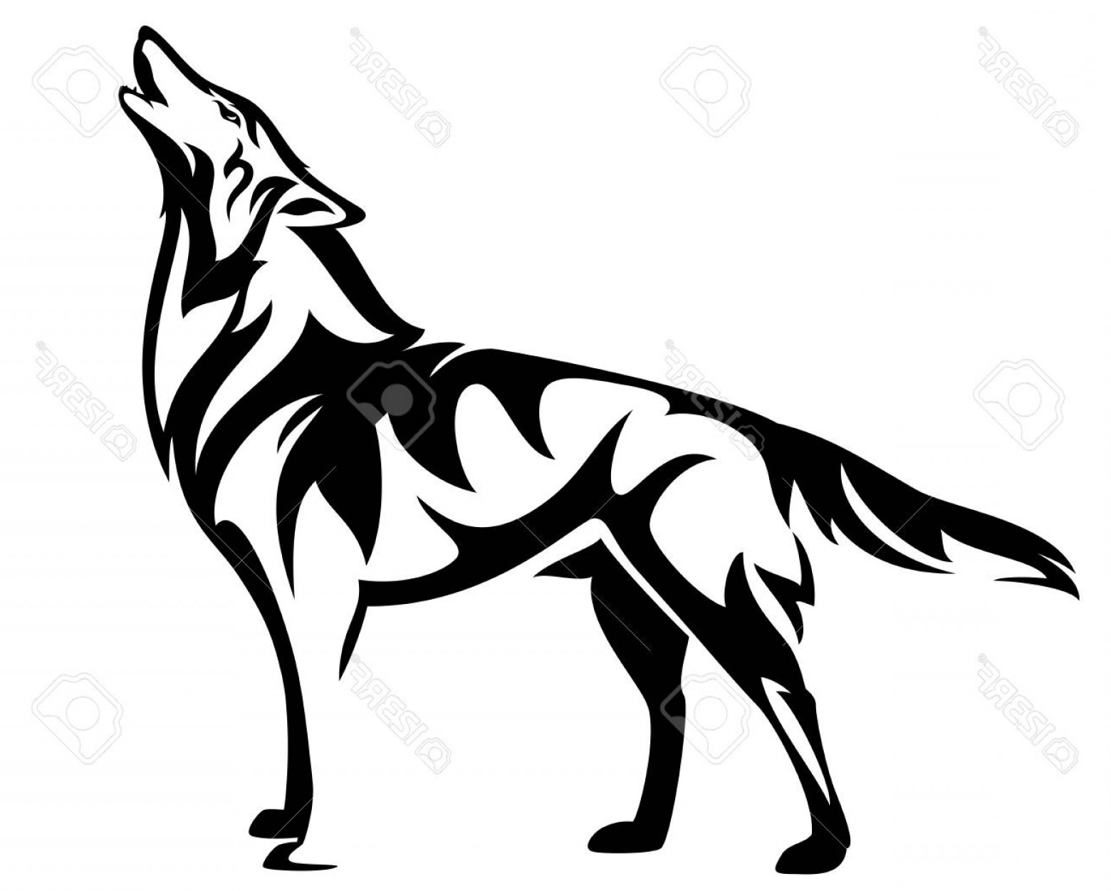 Photostock Vector Standing Howling Wolf Black And White Vector 1560x1251 Photostock Vector Standing Howling Wolf Black And White Vector