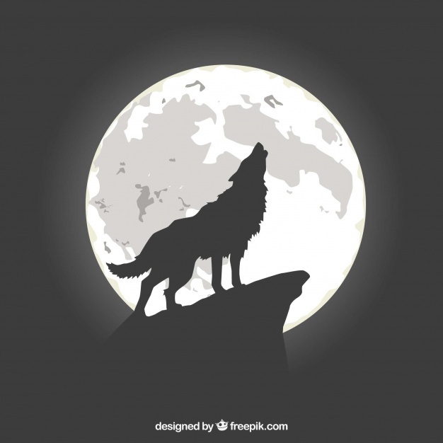 Wolf Howling Vectors, Photos And Free Download 626x626 Wolf Howling Vectors, Photos And Free Download