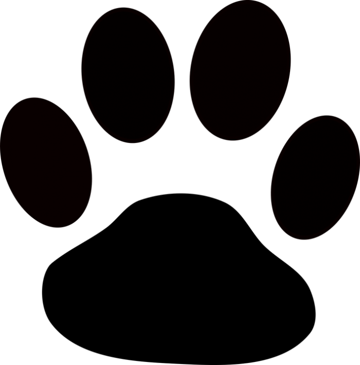 Huella De Perro Blanca Png Vector, Clipart 700x710 Huella De Perro Blanca Png Vector, Clipart