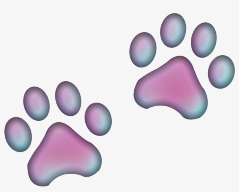 Paw Pata Paws Patas Print Huella Huellas Prints Pawpri 820x659 Paw Pata Paws Patas Print Huella Huellas Prints Pawpri
