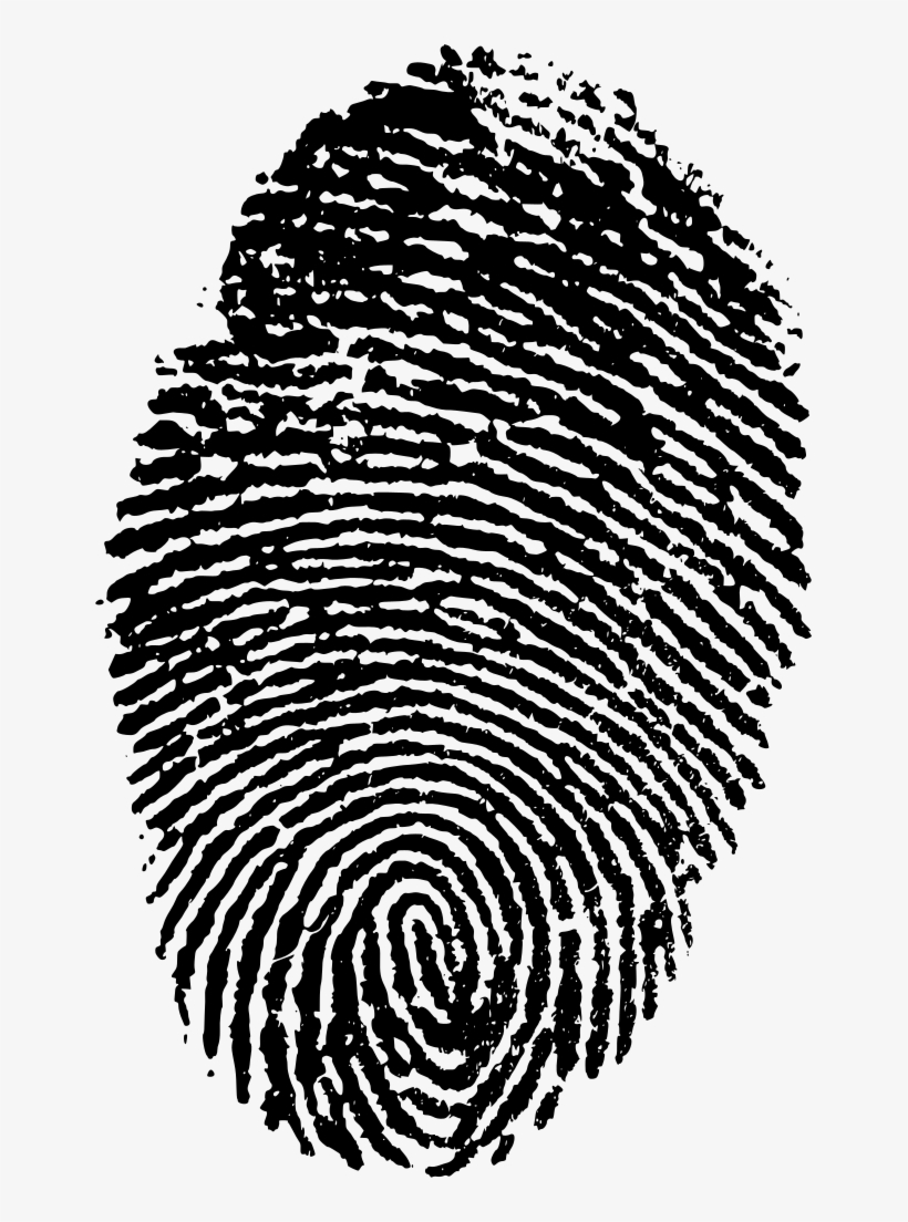 Download Png 820x1104 Download Png
