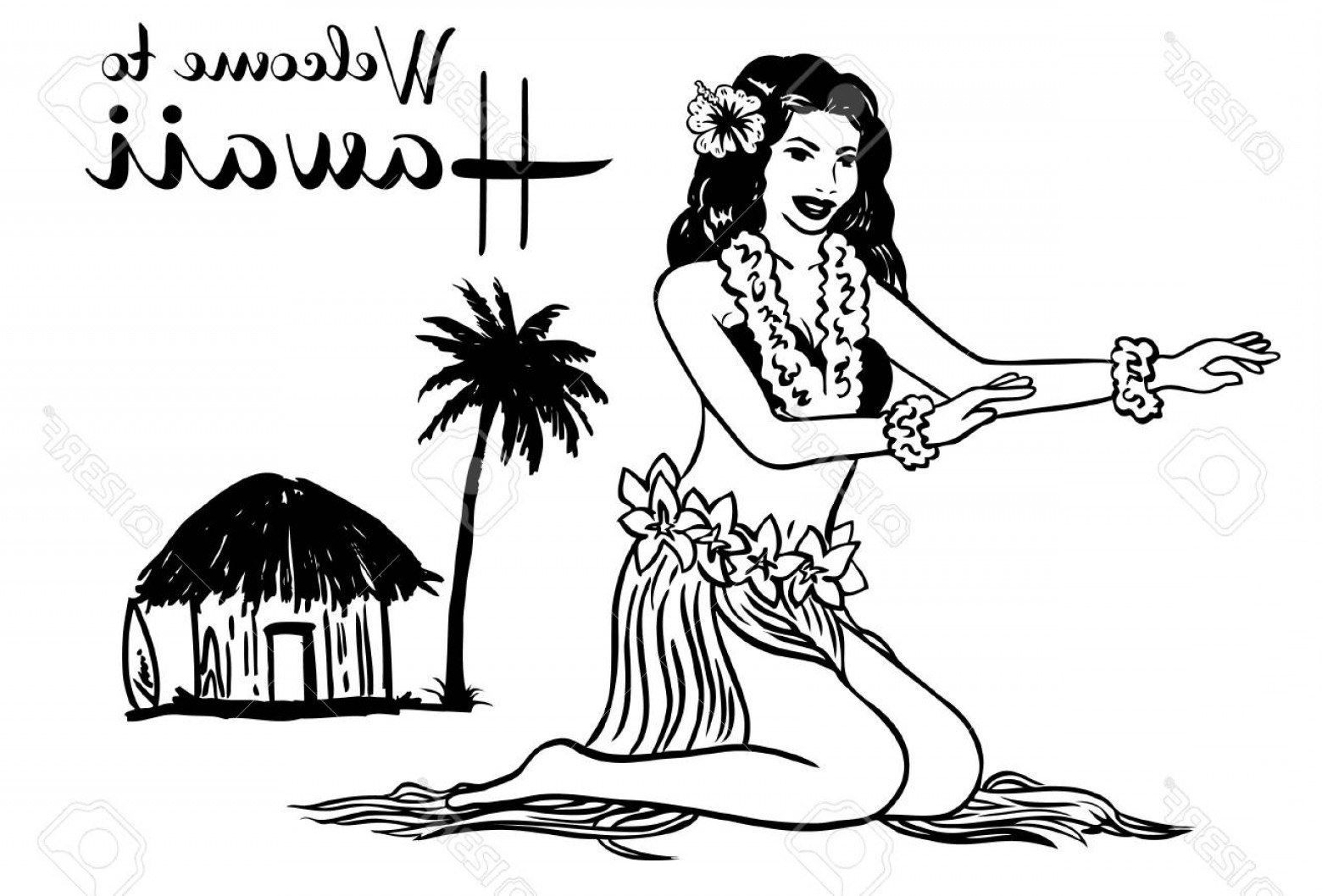 1560x1058 Photostock Vector Vector Illustration Of Hawaiian Hula Girl