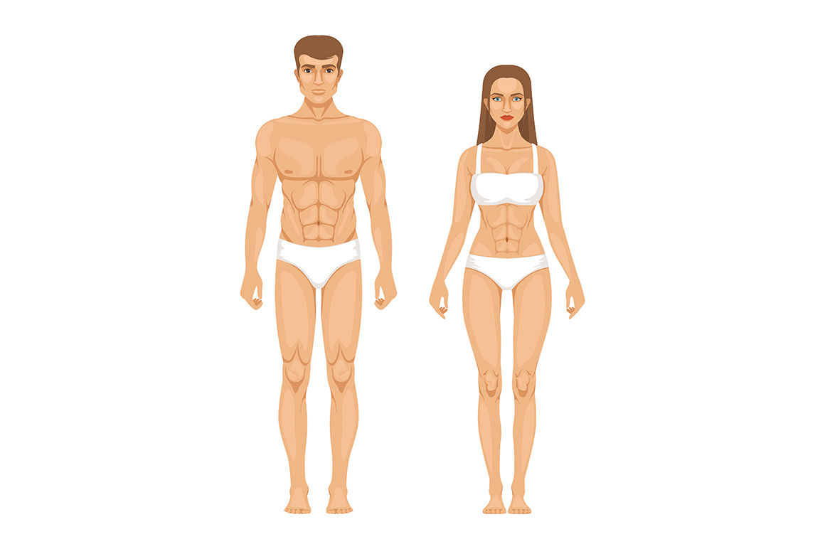 1160x772 Woman Body Parts Human Anatomy Vector Illustrations Isolate