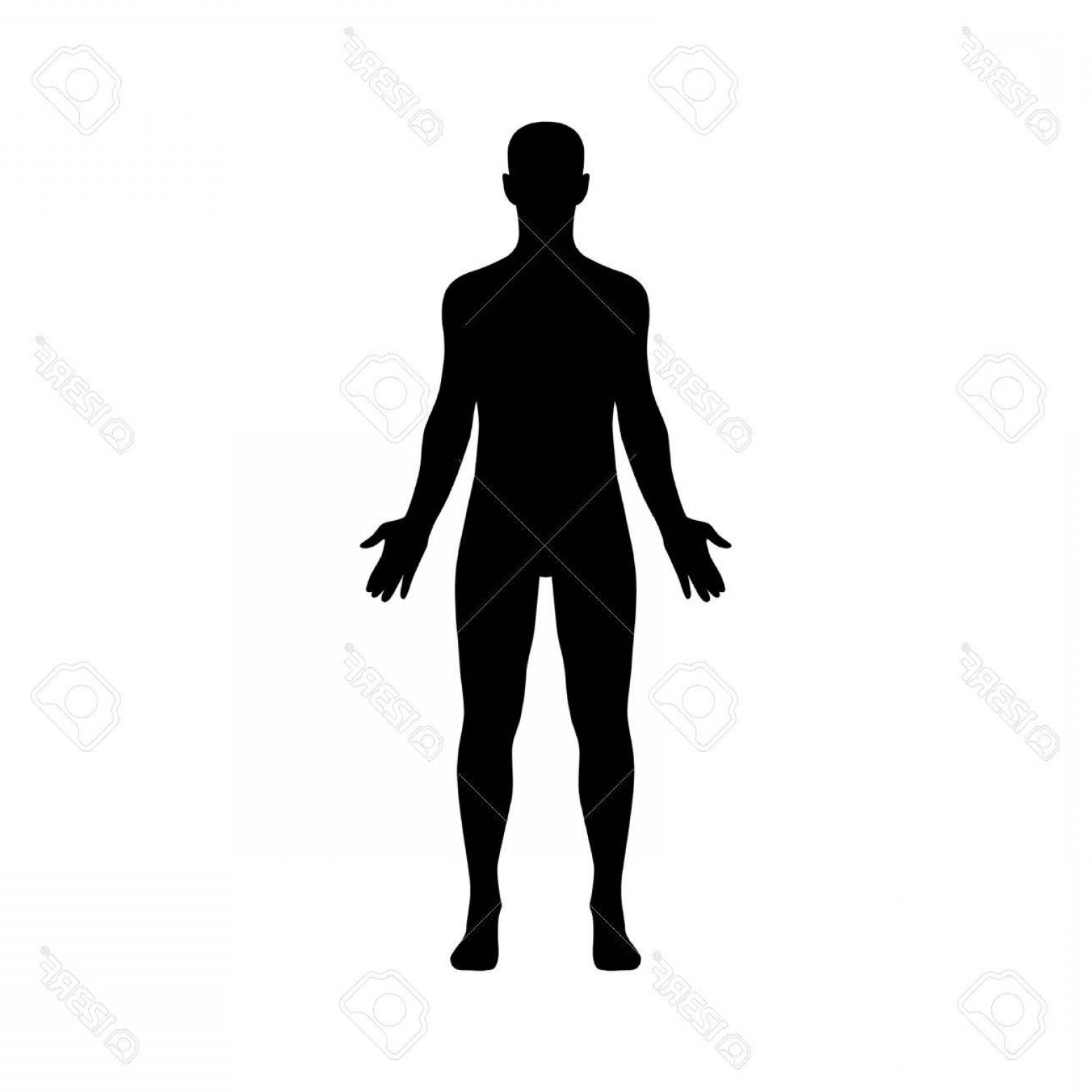 Human Body Outline Vector Lamaison 1560x1560 Human Body Outline Vector Lamaison
