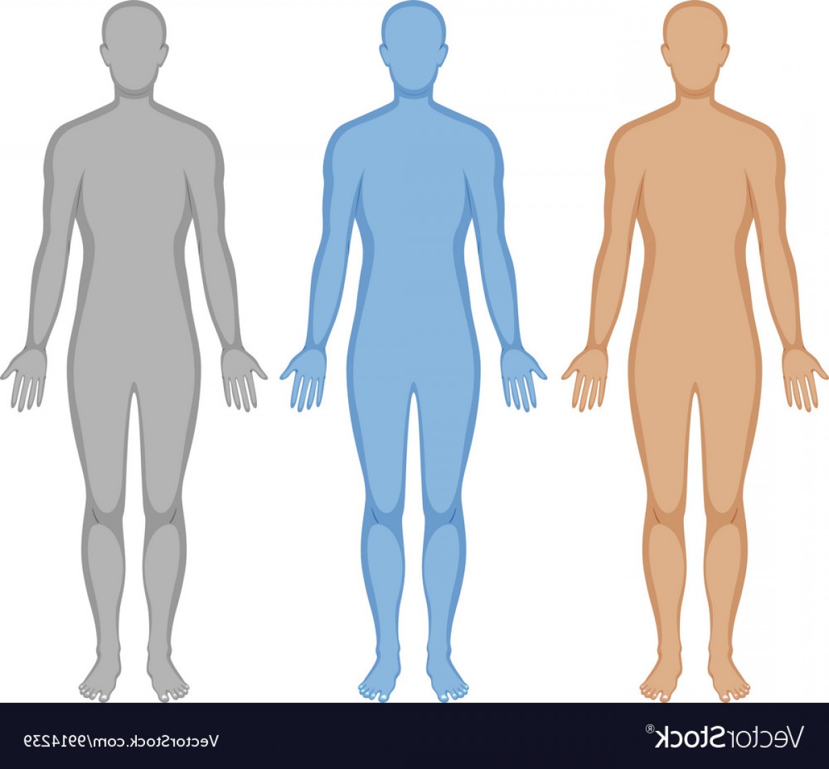 Human Outline Vector Cqrecords 1200x1114 Human Outline Vector Cqrecords