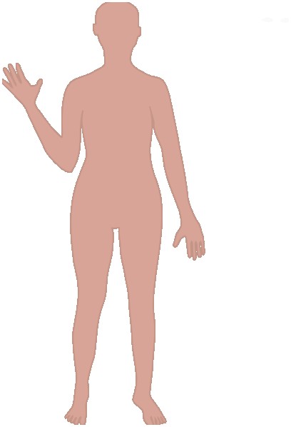 Attractive Human Body Clipart 408x598 Attractive Human Body Clipart