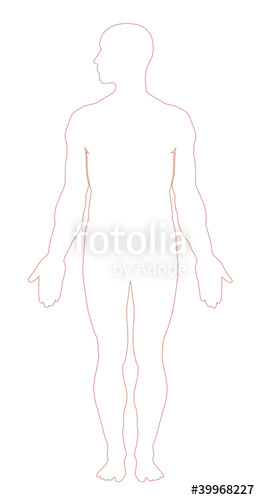 Human Body Outline Vectorillustration Stock Image And Royalty 260x500 Human Body Outline Vectorillustration Stock Image And Royalty