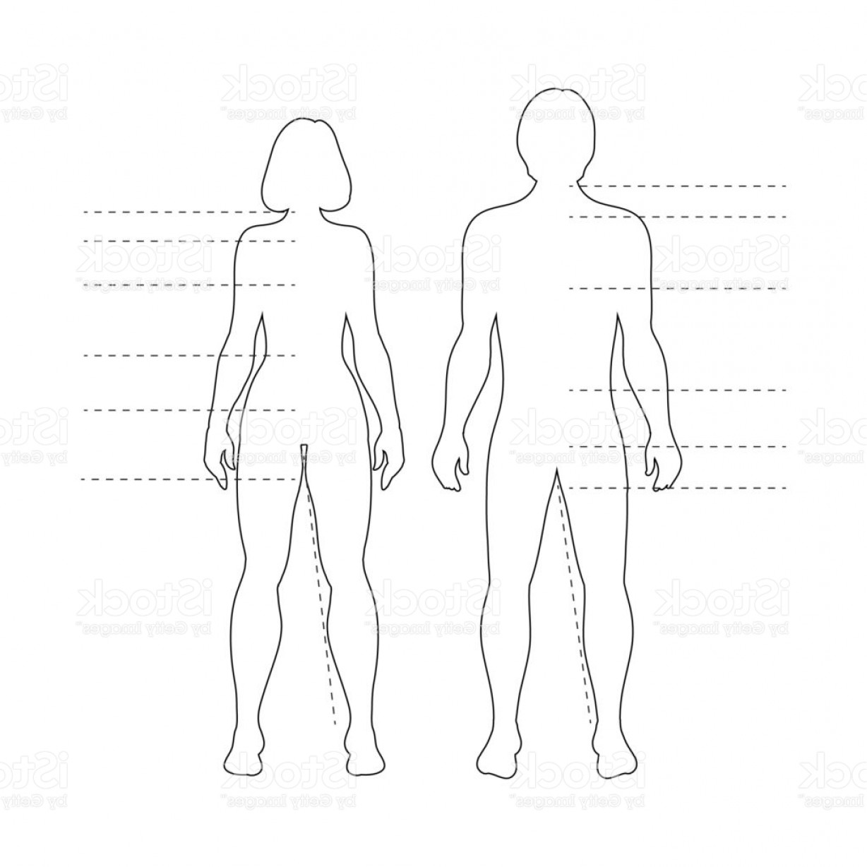 Man And Woman Human Body Silhouettes With Pointers Vector Isolated 1228x1228 Man And Woman Human Body Silhouettes With Pointers Vector Isolated