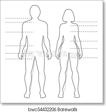 Man And Woman Human Body Silhouettes With Pointers Vector 362x382 Man And Woman Human Body Silhouettes With Pointers Vector