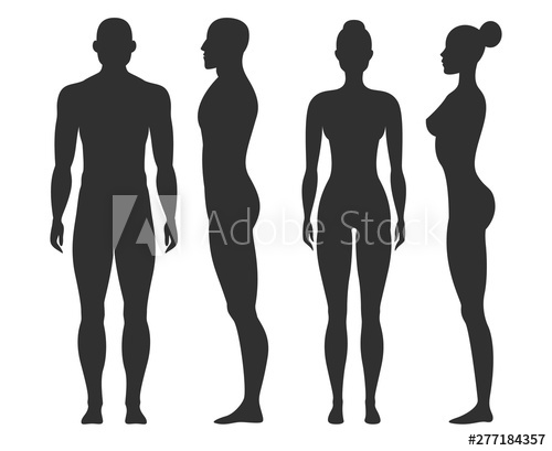 Man And Woman Silhouettes Human Body Outline Shapes In Side 500x409 Man And Woman Silhouettes Human Body Outline Shapes In Side