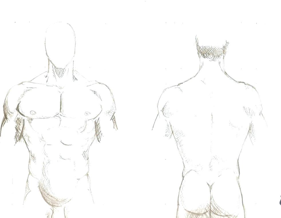 982x763 Outline Of The Body Body Sketch Outline Body Sketch Art Artist