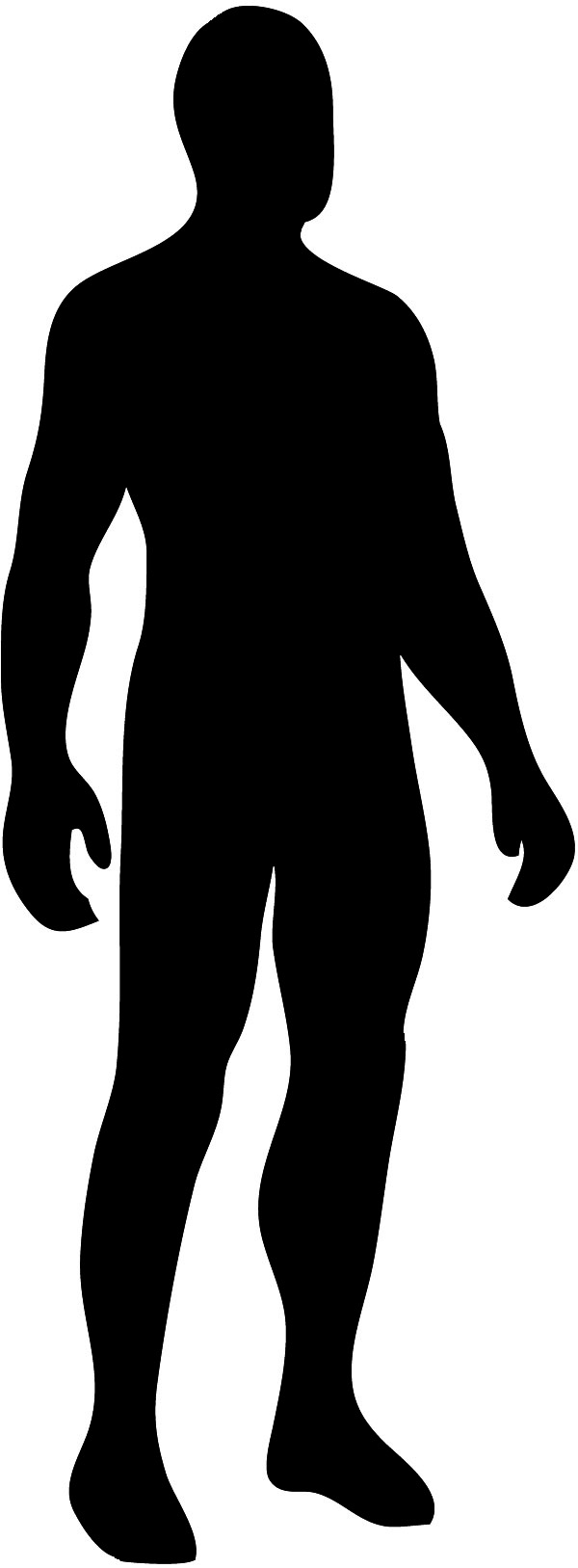 600x1627 Png Human Body Outline Transparent Human Body Outline Images