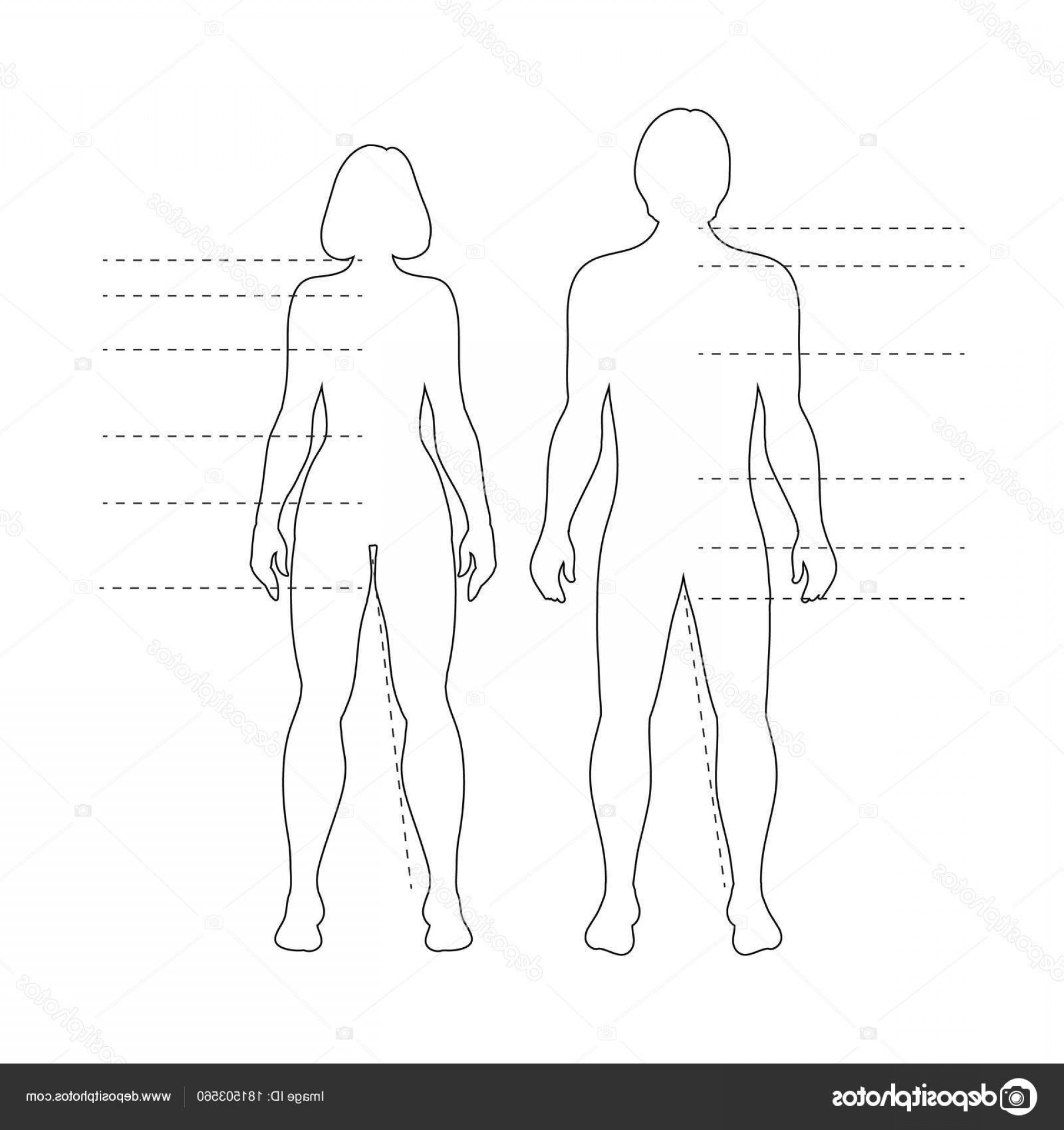 Stock Illustration Man Woman Human Body Silhouettes Soidergi 1920x2040 Stock Illustration Man Woman Human Body Silhouettes Soidergi