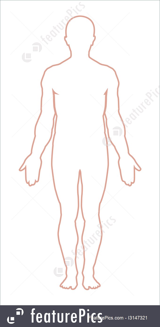 Wildlife Male Body Outline Vector 680x1392 Wildlife Male Body Outline Vector