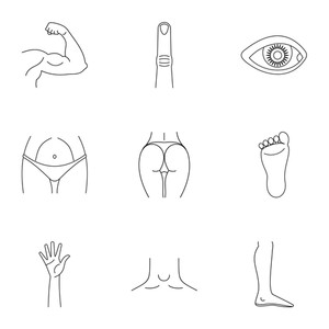 Body Outline Royalty Free Vectors 300x300 Body Outline Royalty Free Vectors