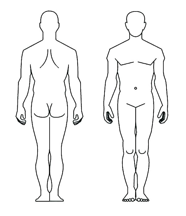 Human Outline 600x696 Human Outline