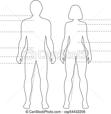 Outline Body 450x462 Outline Body