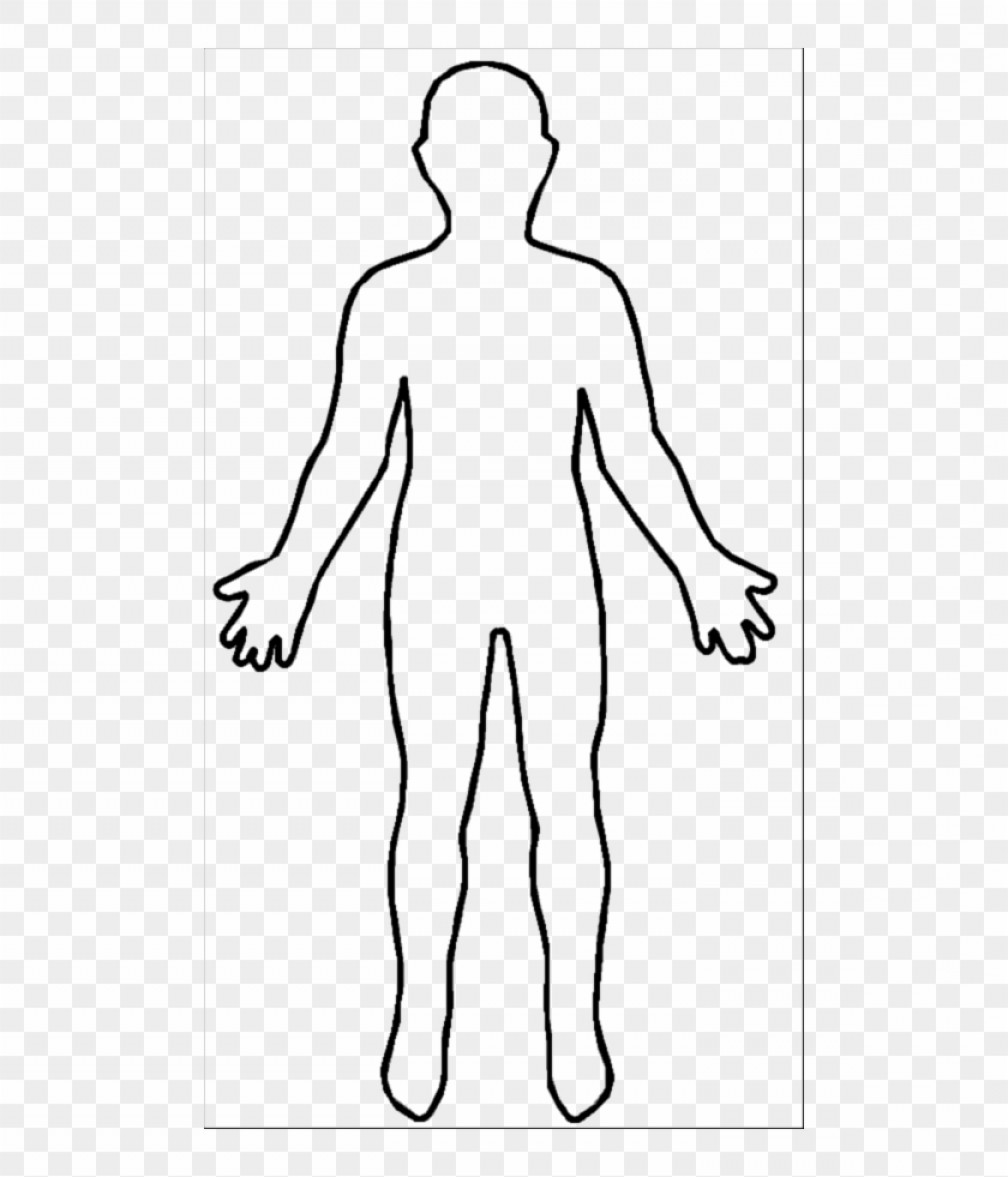 Human Body Outline Vector Art Createmepink 1008x1177 Human Body Outline Vector Art Createmepink