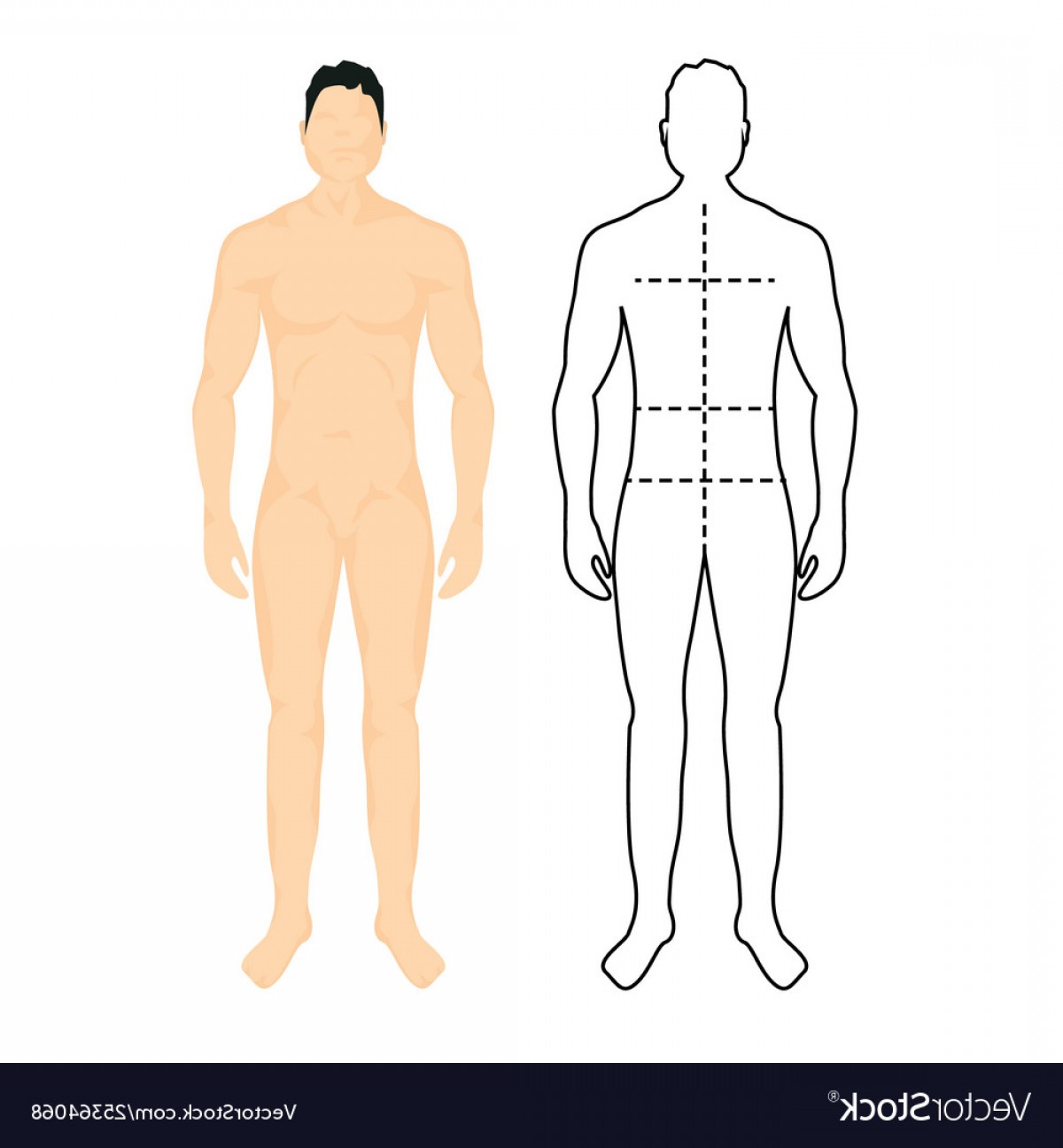 Human Body Silhouette Vector Lamaison 1200x1296 Human Body Silhouette Vector Lamaison