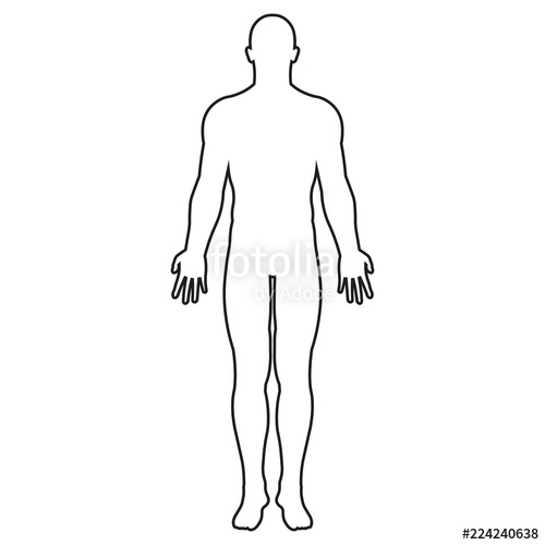 Human Body Silhouette Vector Isolated Stock Image And Royalty 500x500 Human Body Silhouette Vector Isolated Stock Image And Royalty