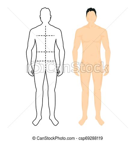 450x470 Man Anatomy Silhouette Size Human Body Full Measure Male Figure