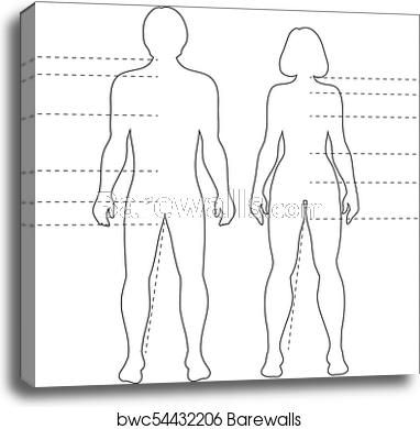 Man And Woman Human Body Silhouettes With Pointers Vector 382x390 Man And Woman Human Body Silhouettes With Pointers Vector