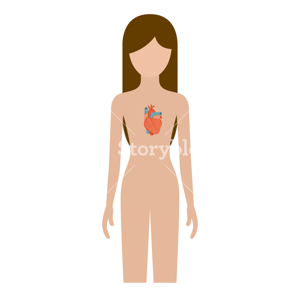 Colorful Silhouette Female Person With Heart System Human Body 1000x1000 Colorful Silhouette Female Person With Heart System Human Body