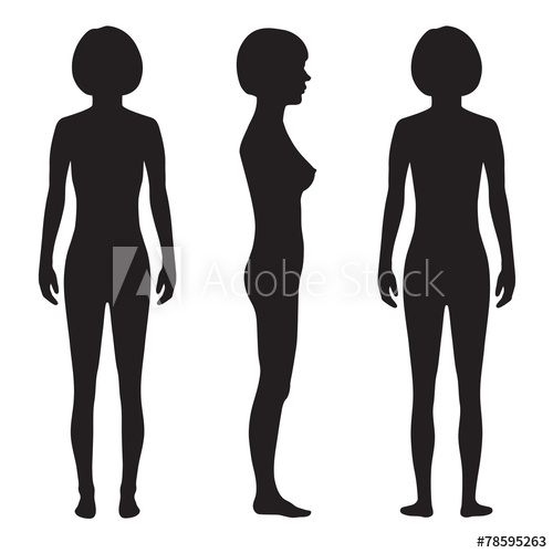 Human Body Anatomy,front, Back Side, Vector Woman Silhouette 500x500 Human Body Anatomy,front, Back Side, Vector Woman Silhouette