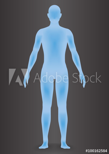 Human Body Silhouette, Vector Illustration 354x500 Human Body Silhouette, Vector Illustration