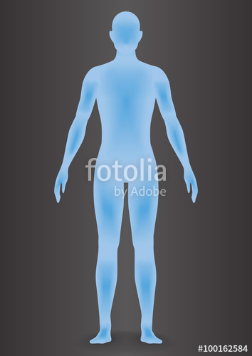 Human Body Silhouette, Vector Illustration Stock Image 354x500 Human Body Silhouette, Vector Illustration Stock Image