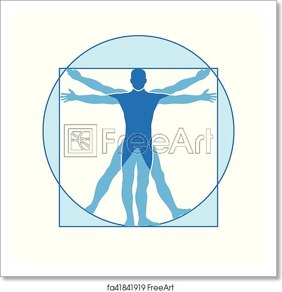 561x581 Free Art Print Of Human Body Vector Icon Of Vitruvian Man Human