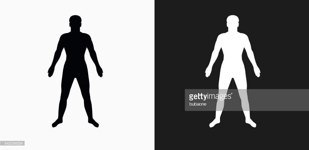 1024x499 Human Body Icon