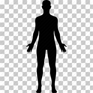 310x310 Human Body Computer Icons Anatomy Homo Sapiens, Human Icon, Person