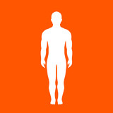 160x160 Human Body Vector Silhouette Stock Image And Royalty Free Vector