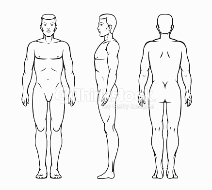 437x393 Male Human Body Silhouette