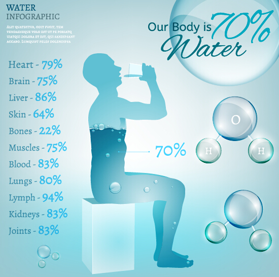 550x546 Water In Human Body Infographic Vector Free Download