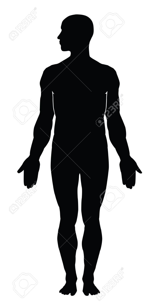 674x1300 Collection Of 'human Body Silhouette Vector' Download More Than