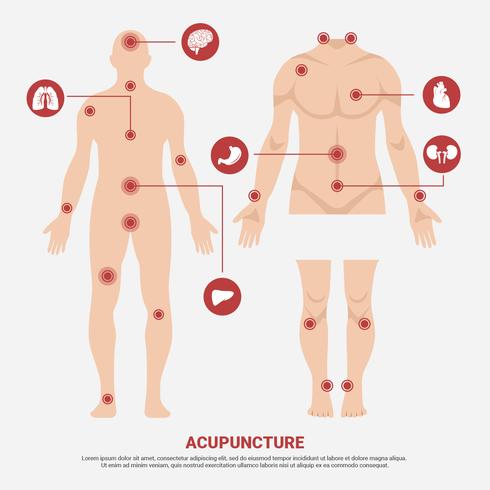 490x490 Acupuncture Point In Man Body Vector Illustration