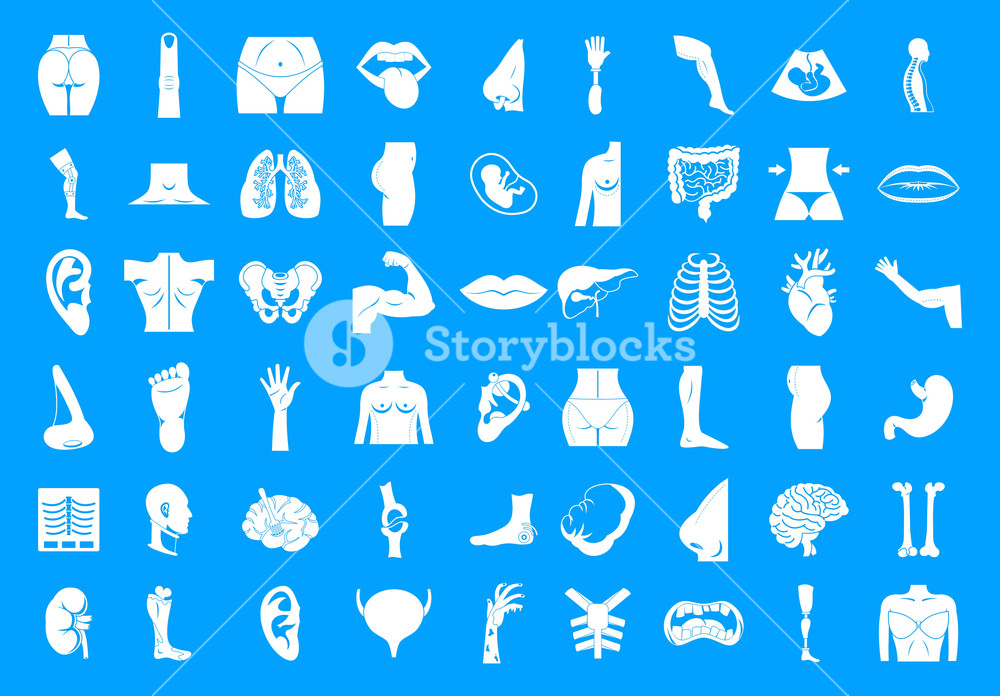 1000x696 Human Body Icon Set Simple Set Of Human Body Vector Icons For Web