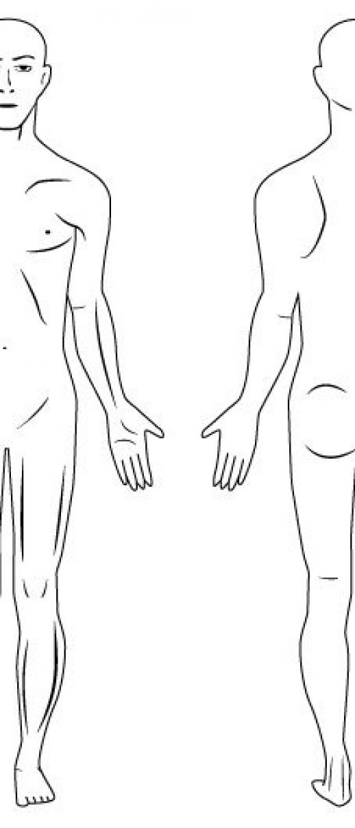 518x1207 Free Human Body Vector