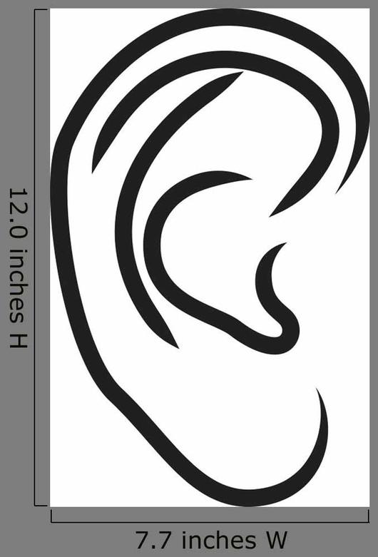 Human Ear Vector Illustration 530x781 Human Ear Vector Illustration
