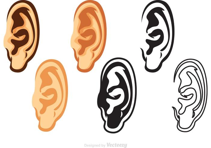 Human Ear Vectors Pack 700x490 Human Ear Vectors Pack