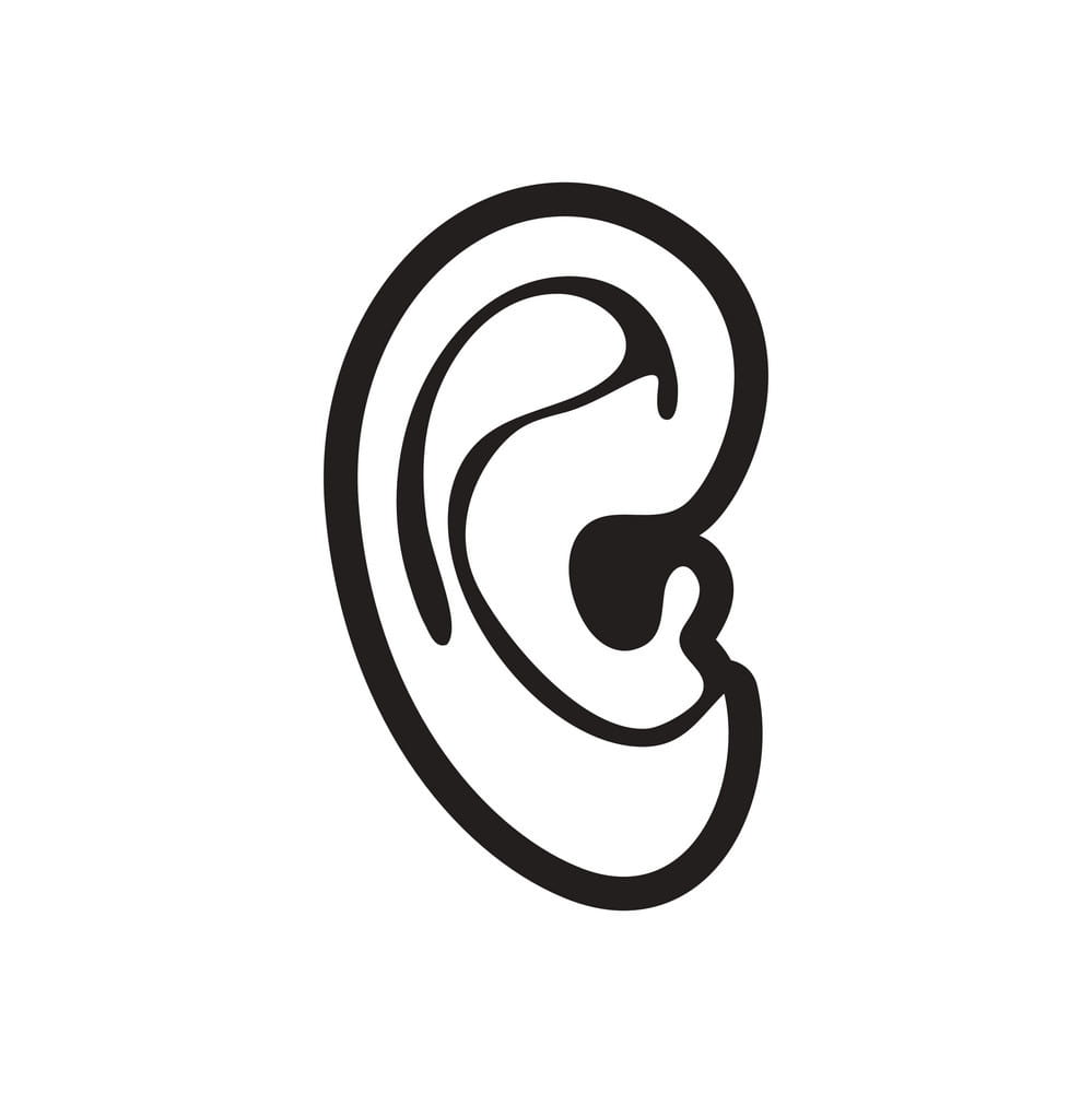 Assembly Of Flat Shading Style Icon Ear Vector Free 999x1000 Assembly Of Flat Shading Style Icon Ear Vector Free