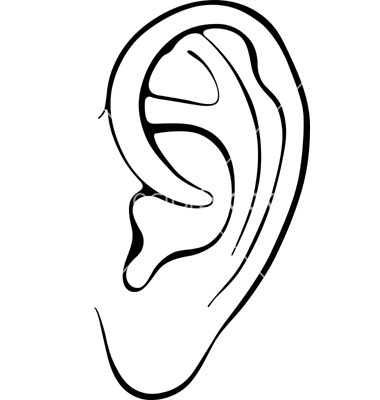 Human Ear Vector 380x400 Human Ear Vector