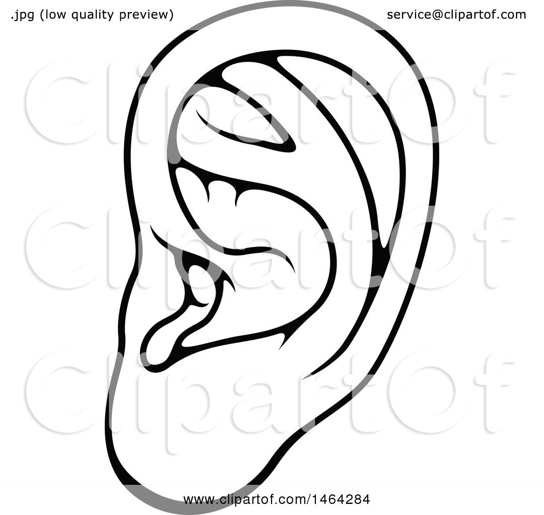 Clipart Of A Black And White Human Ear 1080x1024 Clipart Of A Black And White Human Ear