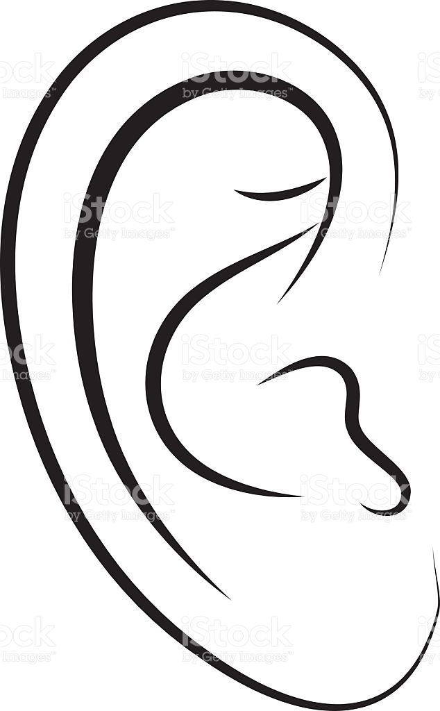 Human Ears Clipart Black And White Collection 634x1024 Human Ears Clipart Black And White Collection